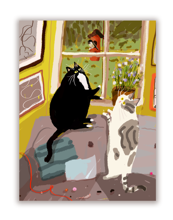 Bird Watch Cat Card Online now