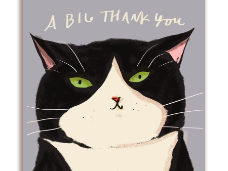 A Big Thank You - Big Head Cat Card - Square on Sale