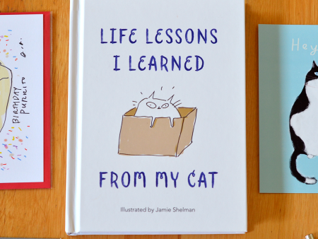 Book- Life Lessons I Learned from My Cat Discount