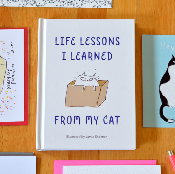 Book- Life Lessons I Learned from My Cat Discount