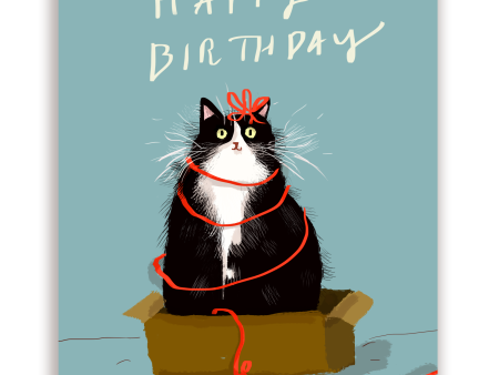 Birthday Box Kitty - Card Online