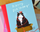 Birthday Box Kitty - Card Online