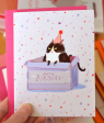 Birthday Box- Birthday Cat Card For Sale