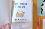 Book- Life Lessons I Learned from My Cat Discount