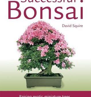 Successful Bonsai: Raising Exotic Miniature Trees Sale